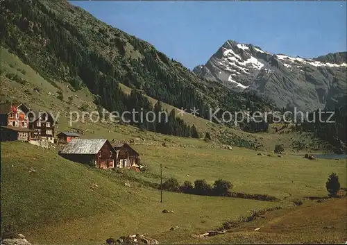 Bristen Uri Golzernalp im Madrisanertal und Duessi Kat. Bristen Maderanertal