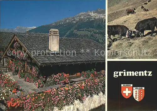 Grimentz Chalet fleuri Combat de reines a l alpage de Torrent Kat. Grimentz