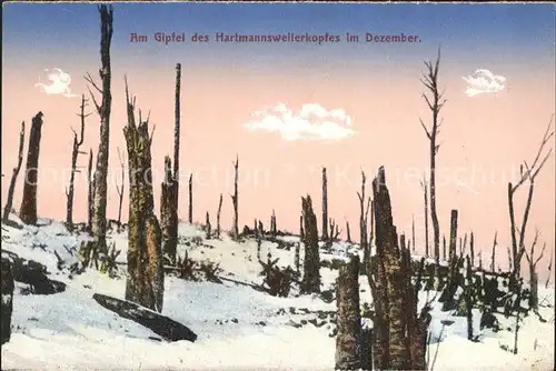 Hartmannsweilerkopf Gipfel mit Sturmschaeden Kat. Hartmannswiller