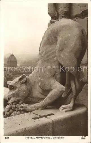 Paris Notre Dame Chimeres Kat. Paris