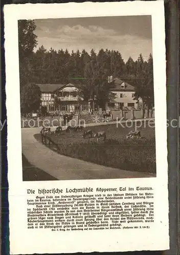 Wehrheim Historische Lochmuehle Koepperner Tal Geschichte Kat. Wehrheim