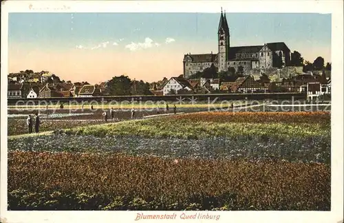 Quedlinburg Die Blumenstadt mit Schloss und Dom Kat. Quedlinburg