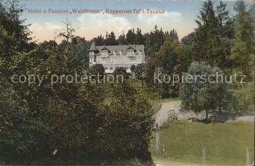 Wehrheim Hotel Pension Waldfriede Koepperner Tal Kat. Wehrheim