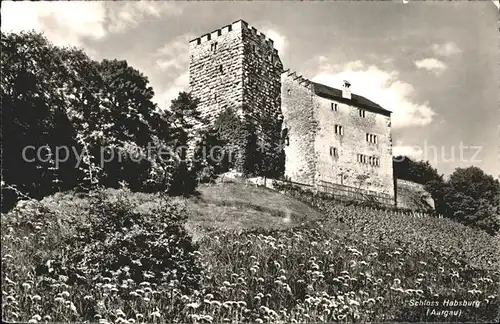 Habsburg Schloss Kat. Habsburg