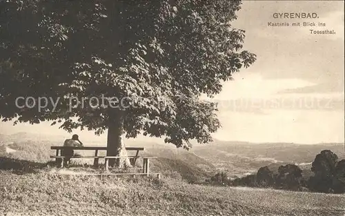 Turbenthal Kastanie mit Blick ins Toessthal Ruhebank Kurhaus Gyrenbad Kat. Turbenthal