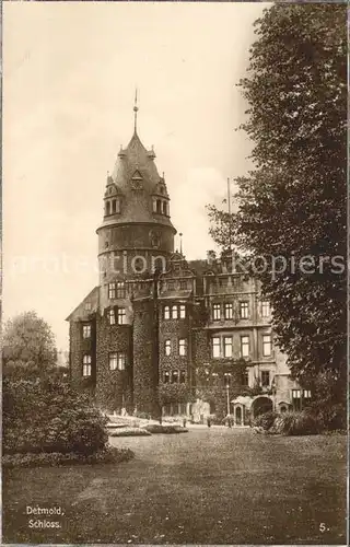 Detmold Schloss Trinks Postkarte Kat. Detmold