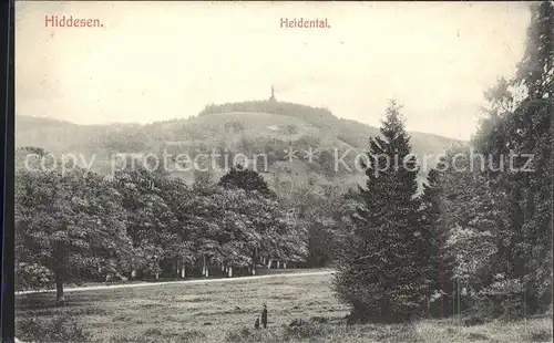 Hiddesen Heidental mit Hermannsdenkmal Teutoburger Wald Kat. Detmold