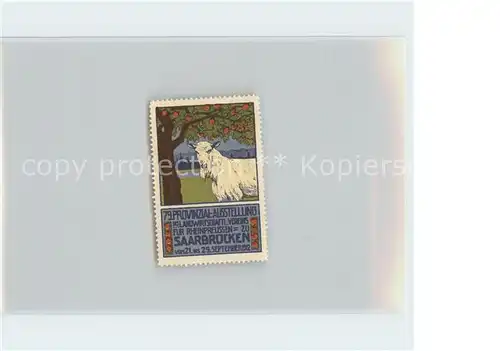 Saarbruecken 79. Provinzialausstellung 1912 Schaf Briefmarke Kat. Saarbruecken