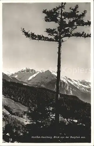 Hasliberg Hohfluh Blick von der Burgfluh aus Alpen Kat. Hasliberg Hohfluh