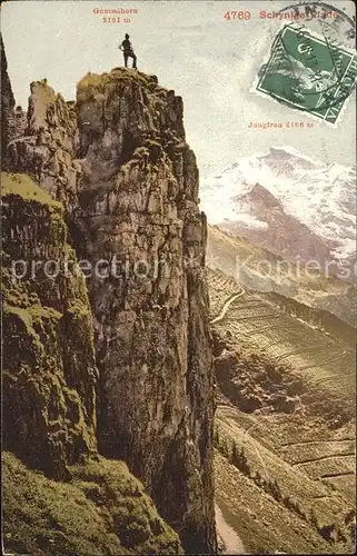 Schynige Platte Bergsteigen Gummihorn Jungfrau Berner Alpen Kat. Schynige Platte
