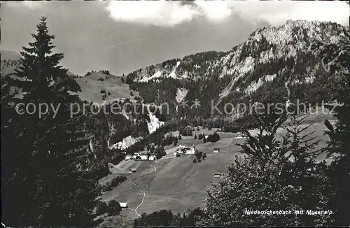 Niederrickenbach Panorama mit Musenalp Kat. Niederrickenbach