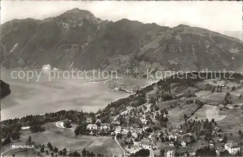 Morschach Panorama Vierwaldstaettersee Kat. Morschach