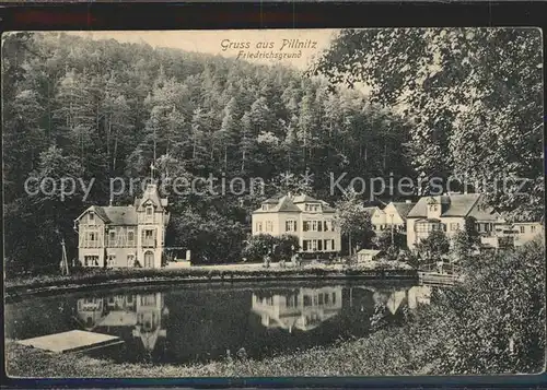 Pillnitz Friedrichsgrund Teich Kat. Dresden