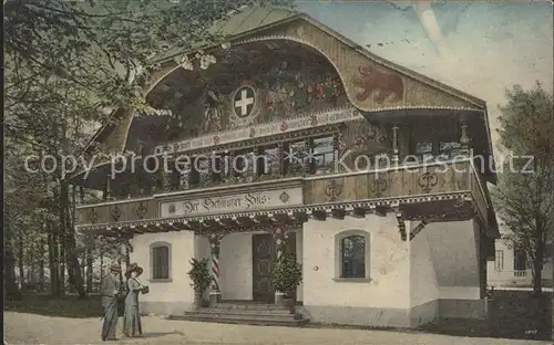 Dresden Internationale Hygiene Ausstellung 1911 Schweizerischer Pavillon Sonderbriefmarke Kat. Dresden Elbe