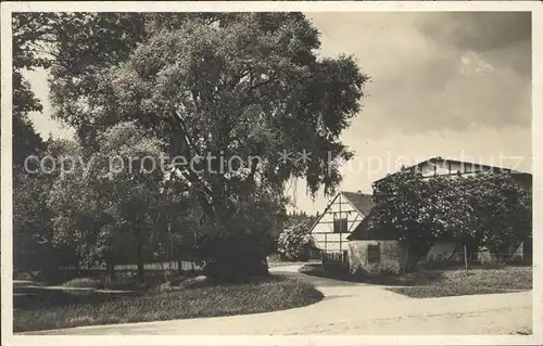 Dresden Hofewiese Dresdner Heide Kat. Dresden Elbe