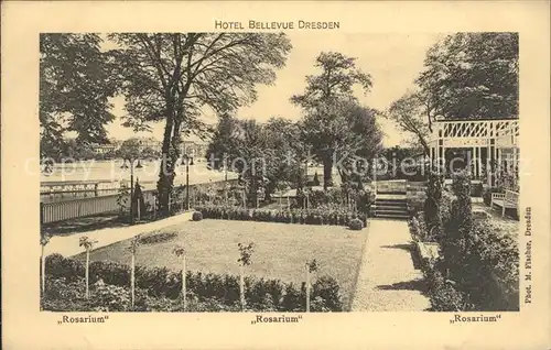 Dresden Hotel Bellevue Rosarium Kat. Dresden Elbe