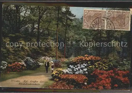Dresden Koeniglicher Grosser Garten Rhododendronhain Stempel auf AK Kat. Dresden Elbe