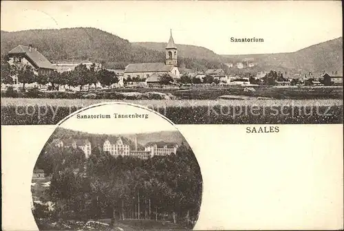 Saales Ortsansicht mit Kirche Sanatorium Tannenberg Kat. Saales