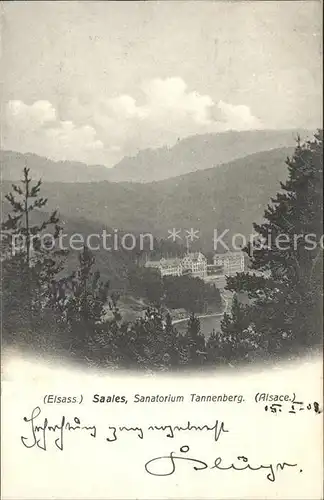 Saales Sanatorium Tannenberg Panorama Vogesen Kat. Saales