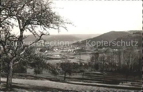 Remiremont Vosges dans son nid de verdure Panorama Kat. Remiremont