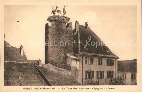 Herrlisheim La Tour des Sorcieres Cigognes d Alsace Kat. Herrlisheim