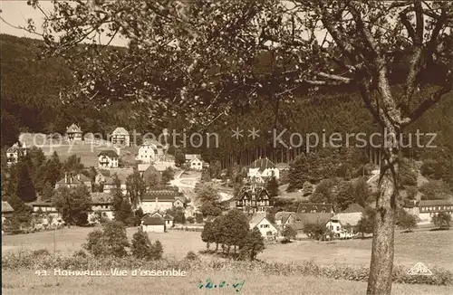 Hohwald Le Vue d'ensemble / Le Hohwald /Arrond. de Selestat-Erstein