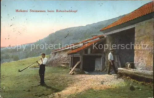 Neu Breisach Molkerei Steinwasen beim Rotenbachkopf Kat. Neuf Brisach