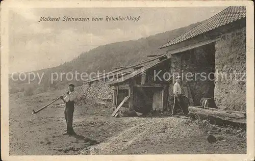 Neu Breisach Molkerei Steinwasen beim Rotenbachkopf Kat. Neuf Brisach