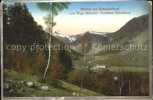 Mittlach Panorama Blick zum Rotenbachkopf Vogesen Kat. Mittlach