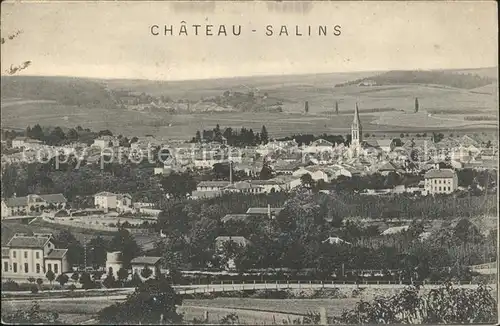 Chateau Salins Panorama Kat. Chateau Salins