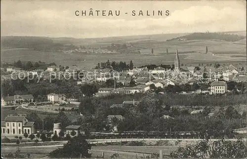 Chateau Salins Panorama Kat. Chateau Salins