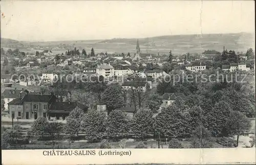 Chateau Salins Vue generale Kat. Chateau Salins