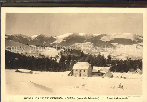 Ried Elsass Restaurant et Pension Winterpanorama Vogesen Kat. Munster