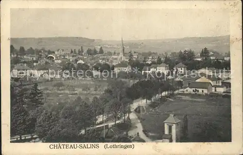 Chateau Salins Vue generale Kat. Chateau Salins