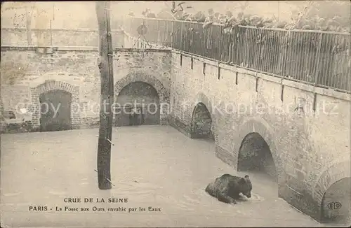 Paris Cure de la Seine Inondations Janvier 1910 Fosse aux Ours Hochwasser Katastrophe Kat. Paris