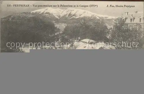 Perpignan Vue panoramique Palmarium Canigou Correspondance des prisonniers Kat. Perpignan