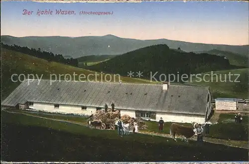 Kahler Wasen Bauernhof Landwirtschaft Vogesen Kat. Sondernach