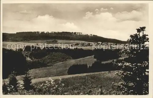 Kleindoebra Wald Doebraberg Kat. Schwarzenbach a.Wald