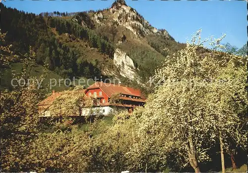 Trattenbach Alpengasthof Klausriegler mit Schoberstein Kat. Trattenbach am Wechsel