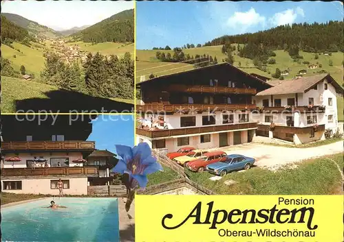 Oberau Tirol Pension Alpenstern Swimingpool Ortsansicht Kat. Wildschoenau