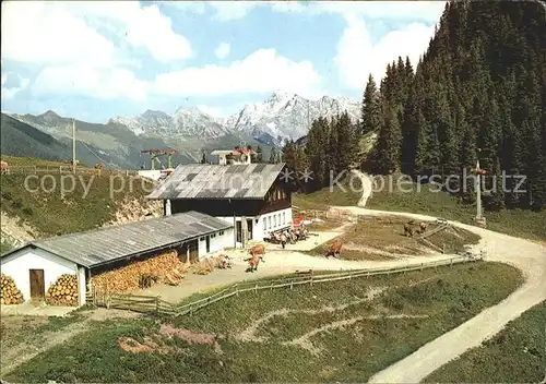 Heiterwang Heiterwanger Hochalm mit Zugspitze Kat. Heiterwang