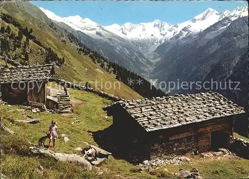 Mayrhofen Zillertal Filzenalm mit Hauptkamm und Gr Loeffler Kat. Mayrhofen