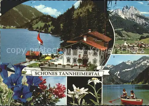 Tannheim Tirol Hotel Alpenhof Haidsee Rotfluh Gimpel Vilsalpsee mit Rauhorn Kat. Tannheim