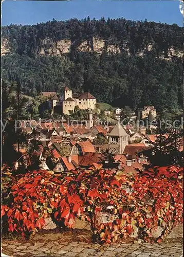 Feldkirch Vorarlberg Blick zur Schattenburg Kat. Feldkirch