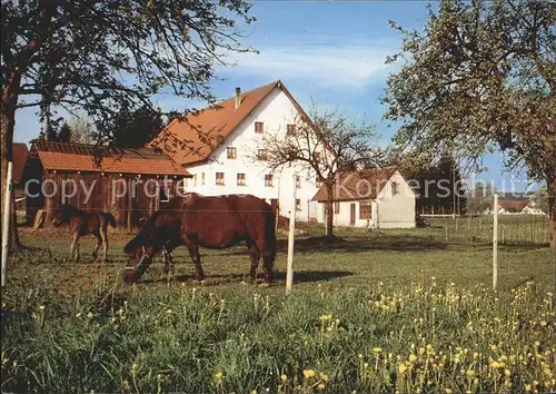 Rot Rot Pfeifferhof Haslach Ferien und Kurzzeitheim Ponys Kat. Rot an der Rot