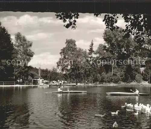 Pirmasens Eisweiher Enten Kajak Gaststaette Kat. Pirmasens