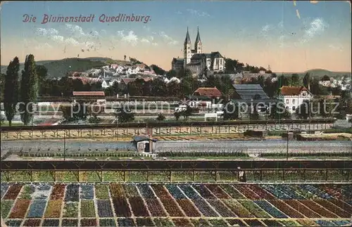 Quedlinburg Blumenstadt Blick zum Schloss Dom Kat. Quedlinburg