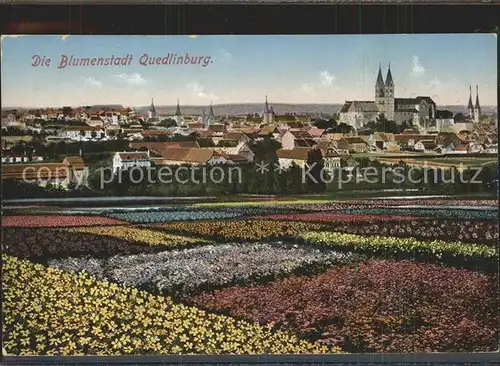 Quedlinburg Die Blumenstadt Blick zum Schloss Bahnpost Kat. Quedlinburg