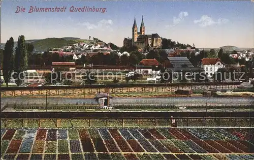 Quedlinburg Die Blumenstadt Blick zum Schloss Kat. Quedlinburg