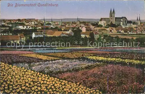 Quedlinburg Die Blumenstadt Blick zum Schloss Kat. Quedlinburg